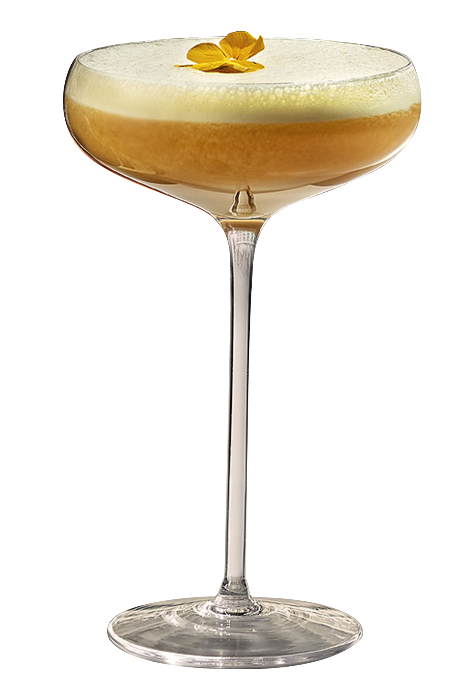 Sr Remy St-Rémy Signature - Brandy - St-Rémy – 100% French Brandy